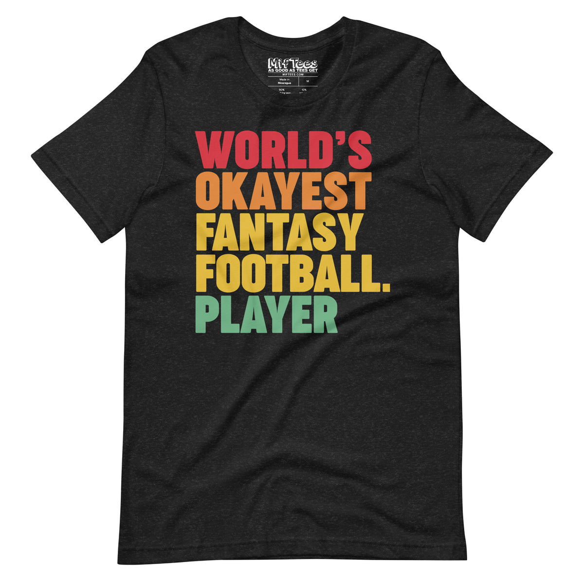 World's Okayest Fantasy Football Player t-shirt