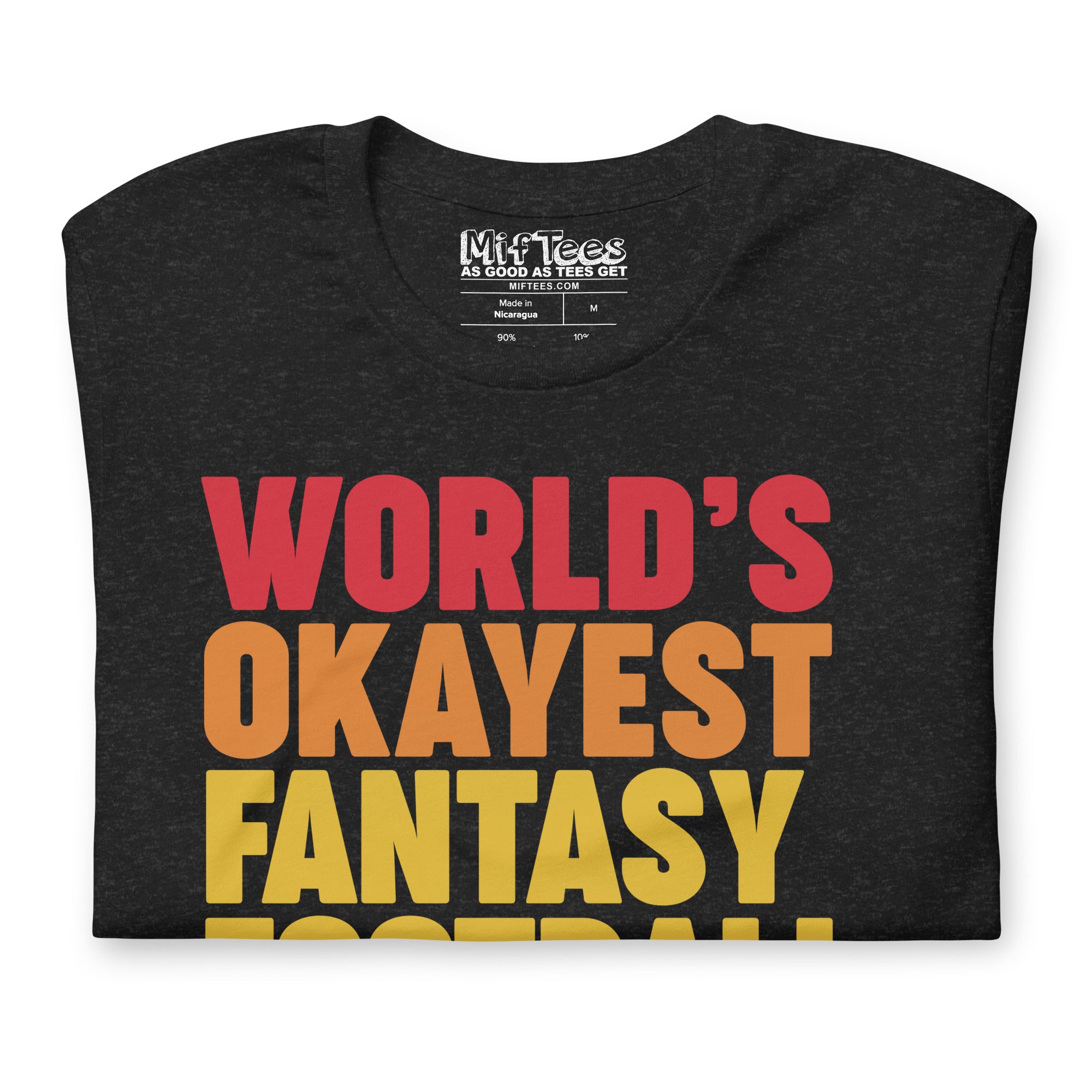 World's Okayest Fantasy Football Player t-shirt