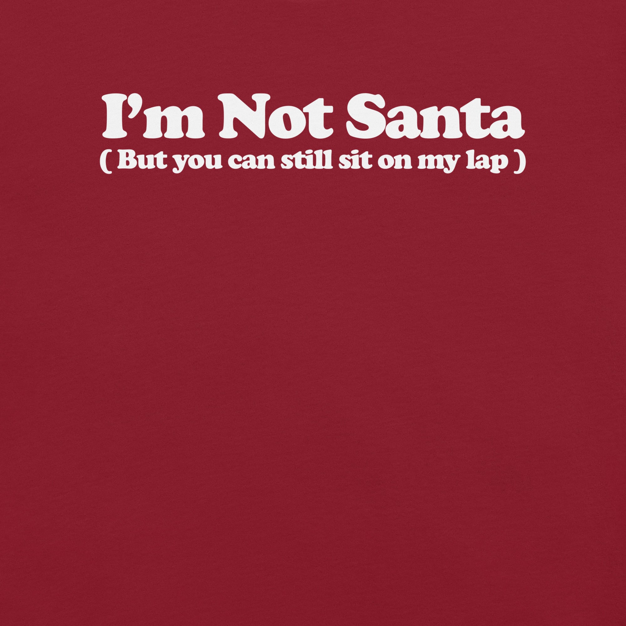 I'm not Santa but you can still sit on my lap t-shirt