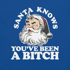 Santa Knows You've been a bitch t-shirt