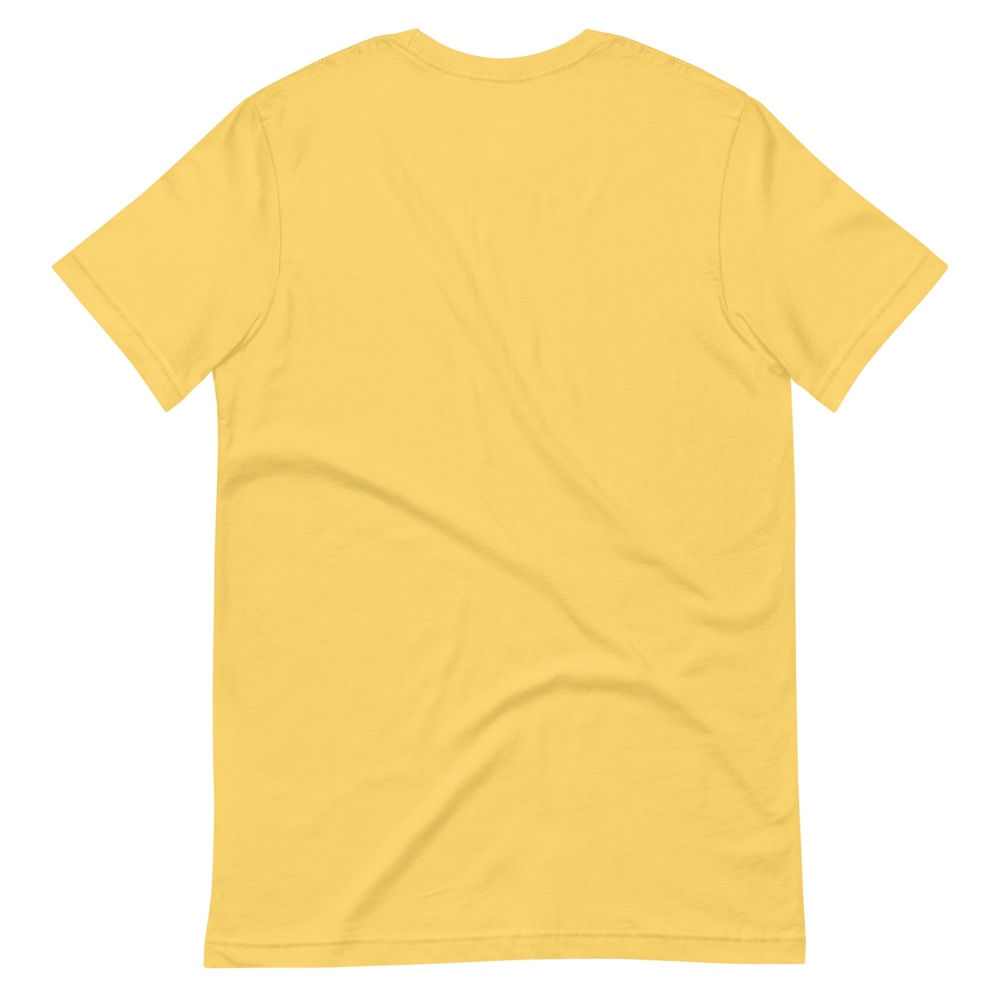 Pickleball Club t-shirt